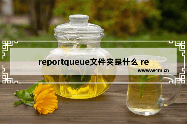 reportqueue文件夹是什么 reportqueue可以删除吗