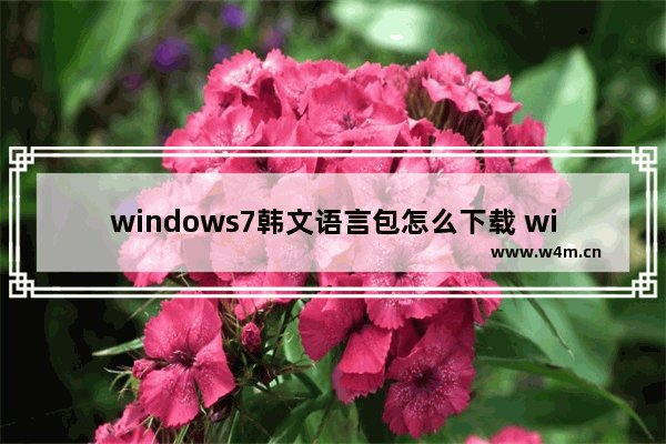 windows7韩文语言包怎么下载 windows7韩文语言包怎么下载教程