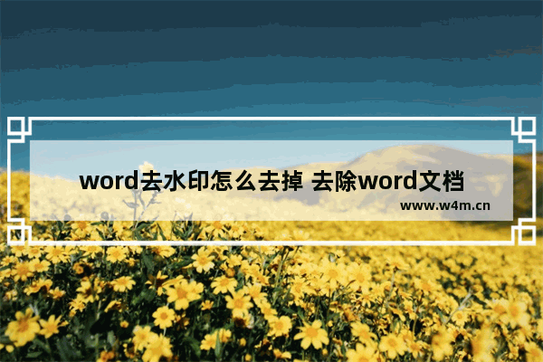 word去水印怎么去掉 去除word文档水印的方法