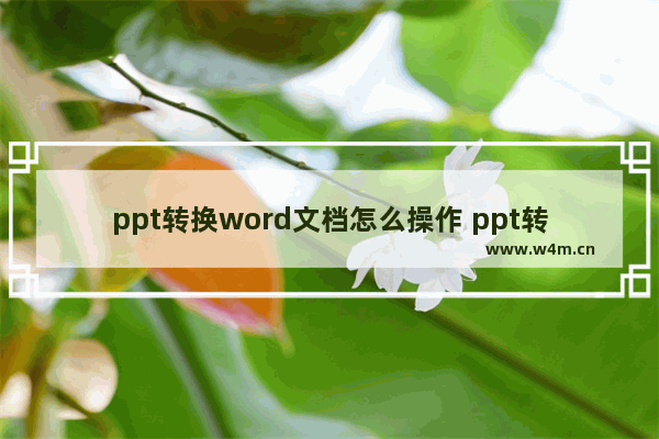 ppt转换word文档怎么操作 ppt转换成word的方法