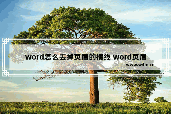 word怎么去掉页眉的横线 word页眉横线删除的方法