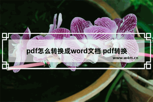 pdf怎么转换成word文档 pdf转换成word最简单方法