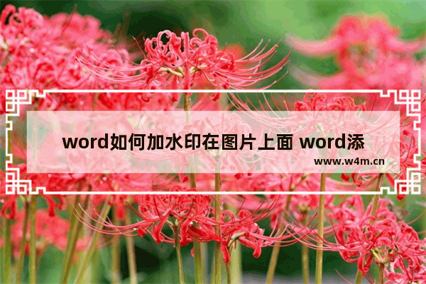 word如何加水印在图片上面 word添加水印的方法步骤