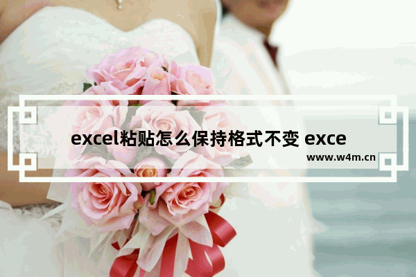 excel粘贴怎么保持格式不变 excel不变格式粘贴操作方法