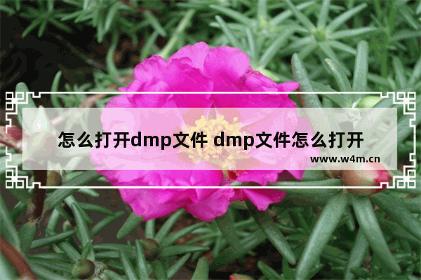 怎么打开dmp文件 dmp文件怎么打开