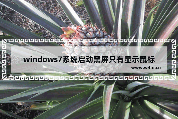 windows7系统启动黑屏只有显示鼠标指针怎么办 windows7桌面显示黑屏只有鼠标指针