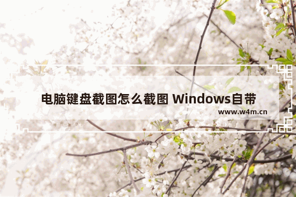 电脑键盘截图怎么截图 Windows自带的截图工具