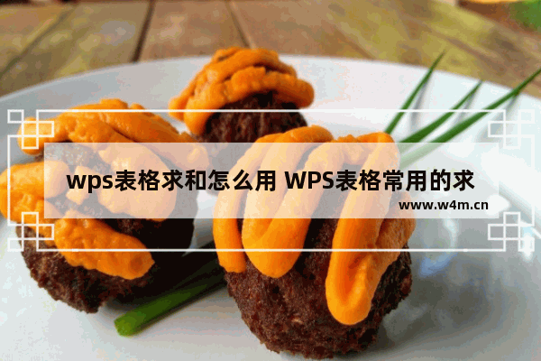 wps表格求和怎么用 WPS表格常用的求和函数