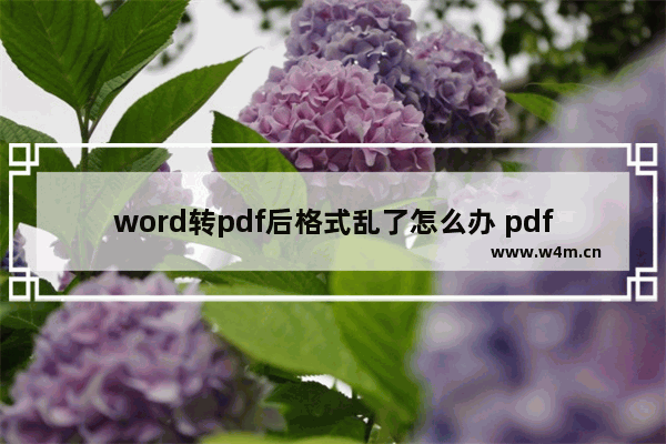 word转pdf后格式乱了怎么办 pdf转word格式乱了的调整方法