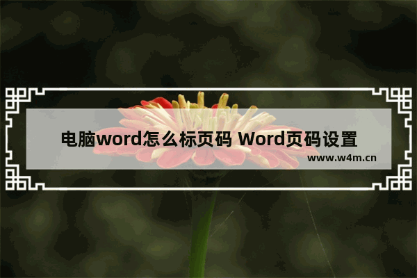 电脑word怎么标页码 Word页码设置方法技巧