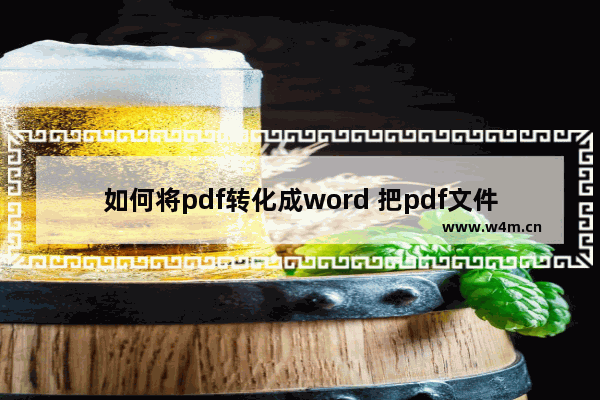 如何将pdf转化成word 把pdf文件转成word的方法