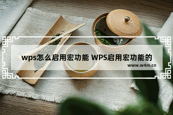 wps怎么启用宏功能 WPS启用宏功能的方法