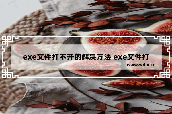 exe文件打不开的解决方法 exe文件打不开怎么办