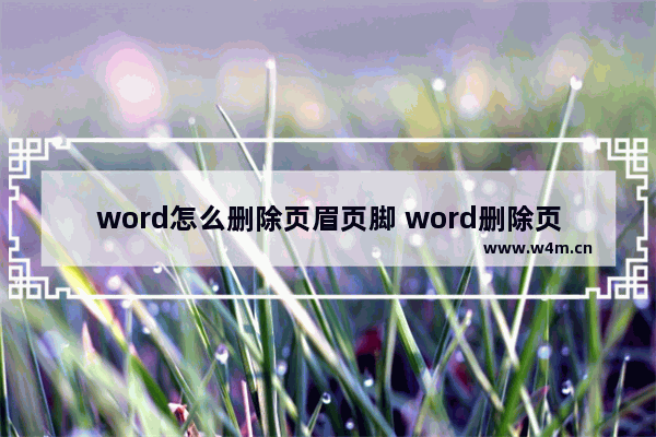 word怎么删除页眉页脚 word删除页眉线的方法