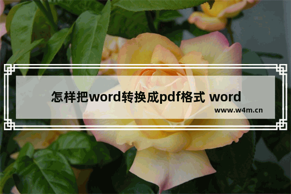 怎样把word转换成pdf格式 word文件转pdf文件的工具