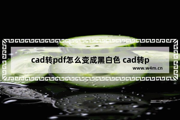 cad转pdf怎么变成黑白色 cad转pdf变成黑白图片的方法