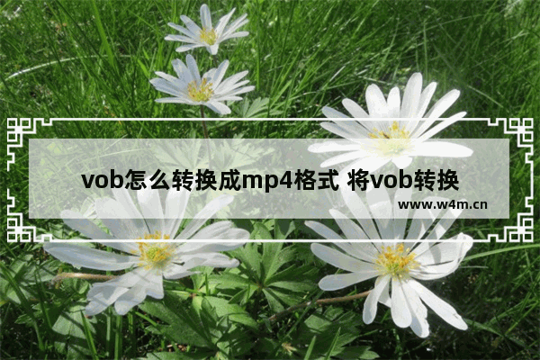 vob怎么转换成mp4格式 将vob转换成mp4的方法