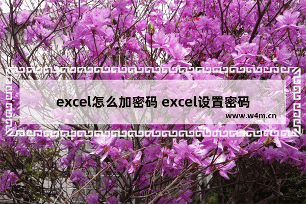 excel怎么加密码 excel设置密码的方法