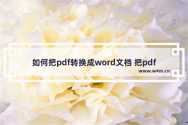 如何把pdf转换成word文档 把pdf文件转换成word的方法