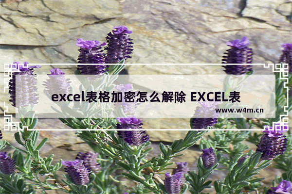 excel表格加密怎么解除 EXCEL表格的加密与解密方式