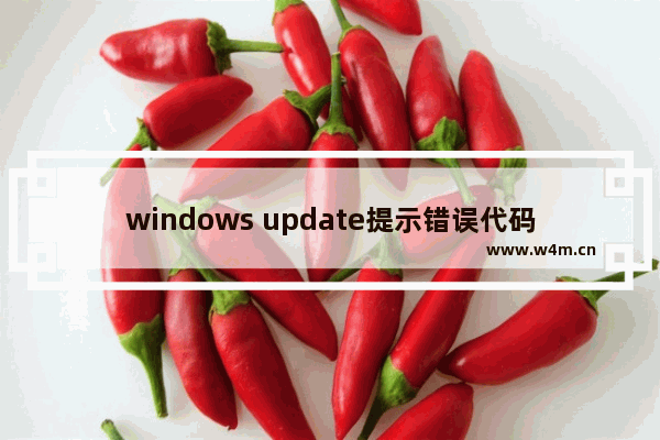 windows update提示错误代码80072efd怎么解决