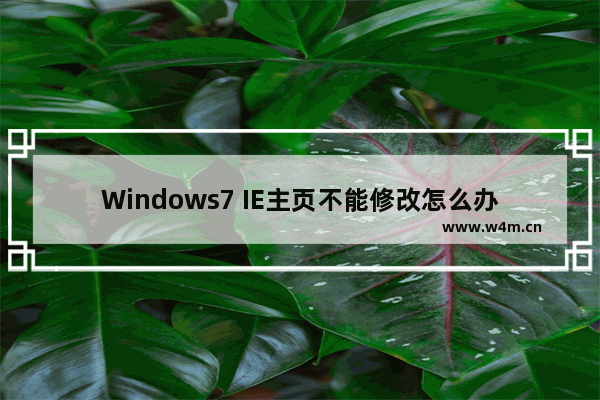 Windows7 IE主页不能修改怎么办 windows7不能修改ie主页