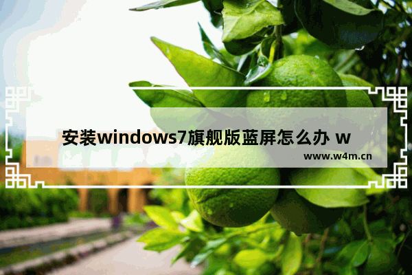 安装windows7旗舰版蓝屏怎么办 windows7旗舰版安装出现蓝屏