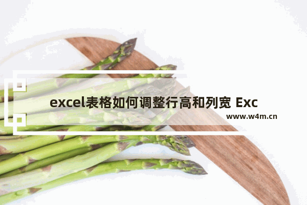 excel表格如何调整行高和列宽 Excel快速调整行高列宽的技巧