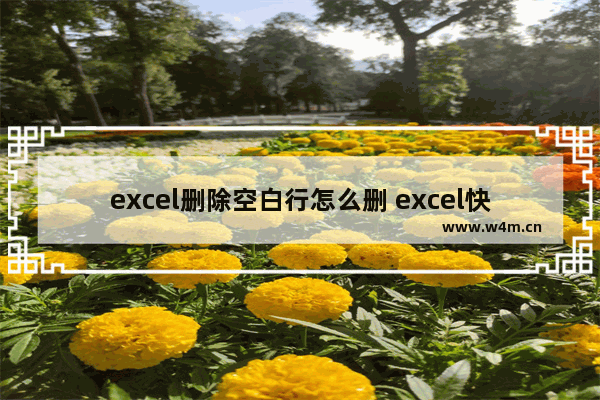 excel删除空白行怎么删 excel快速删除空行的方法