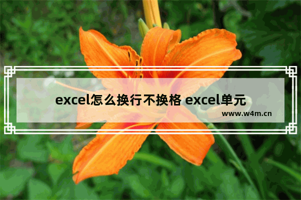 excel怎么换行不换格 excel单元格内换行的方法