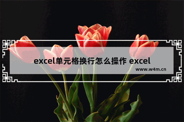 excel单元格换行怎么操作 excel单元格换行的方法