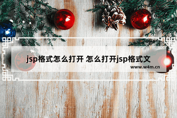 jsp格式怎么打开 怎么打开jsp格式文件