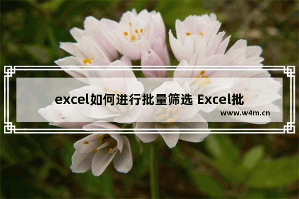 excel如何进行批量筛选 Excel批量筛选的方法