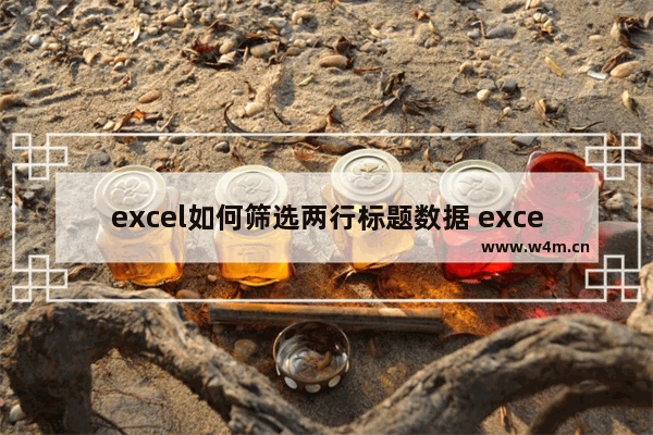 excel如何筛选两行标题数据 excel筛选两行数据的方法