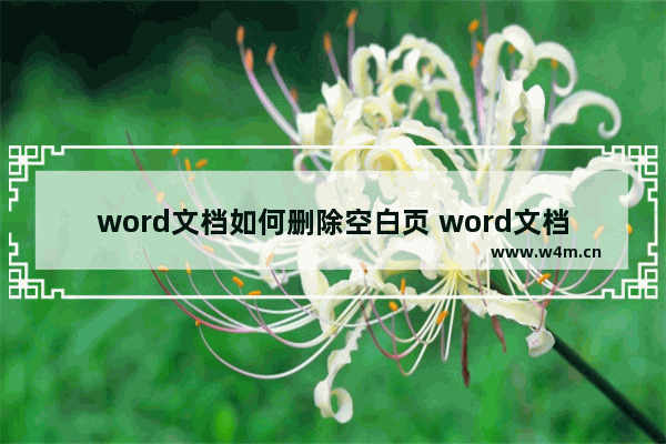 word文档如何删除空白页 word文档删除空白页的方法