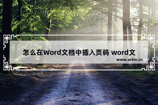 怎么在Word文档中插入页码 word文档中添加页码的方法