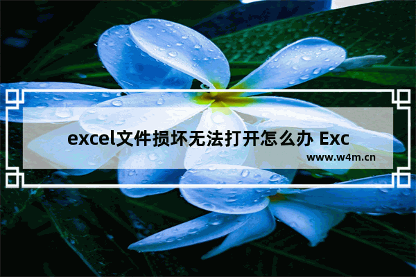 excel文件损坏无法打开怎么办 Excel文件损坏无法打开恢复方法