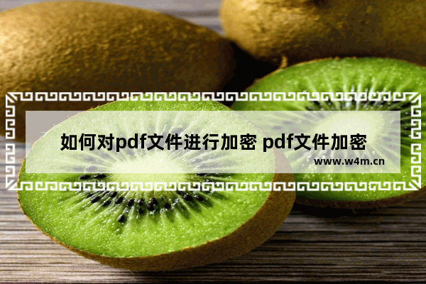 如何对pdf文件进行加密 pdf文件加密的方法