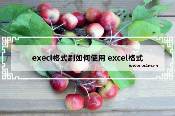 execl格式刷如何使用 excel格式刷的使用方法