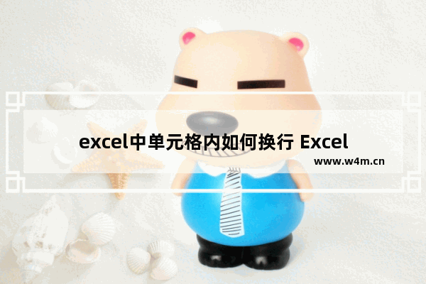 excel中单元格内如何换行 Excel中单元格换行的方式