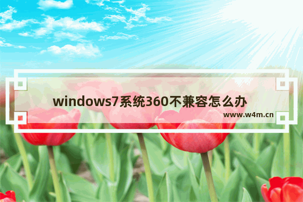 windows7系统360不兼容怎么办 windows7系统与360浏览器不兼容怎么办