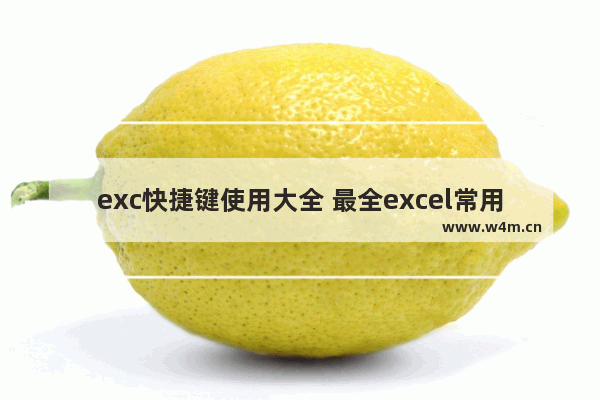 exc快捷键使用大全 最全excel常用快捷键