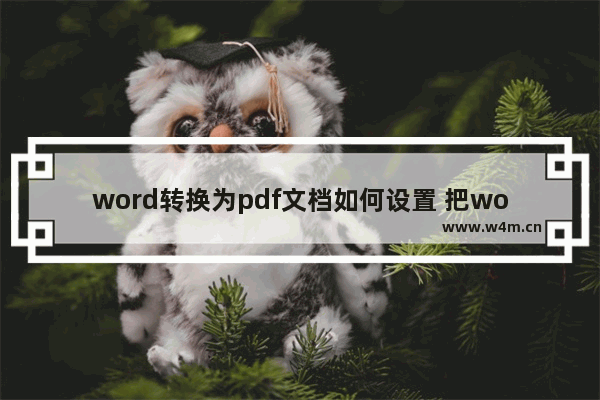 word转换为pdf文档如何设置 把word文档转换成pdf的方法