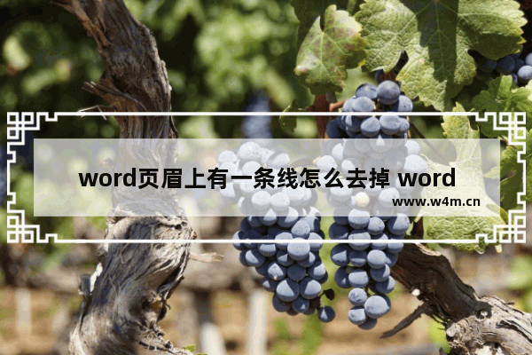 word页眉上有一条线怎么去掉 word页眉横线删除的方法