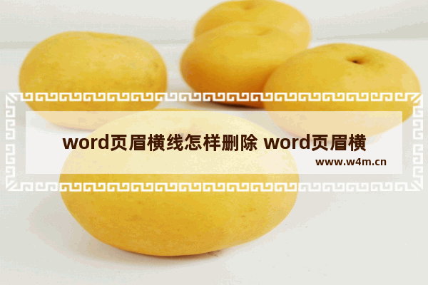 word页眉横线怎样删除 word页眉横线删除的方法