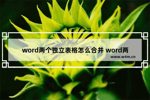 word两个独立表格怎么合并 word两个表格合并一个的方法