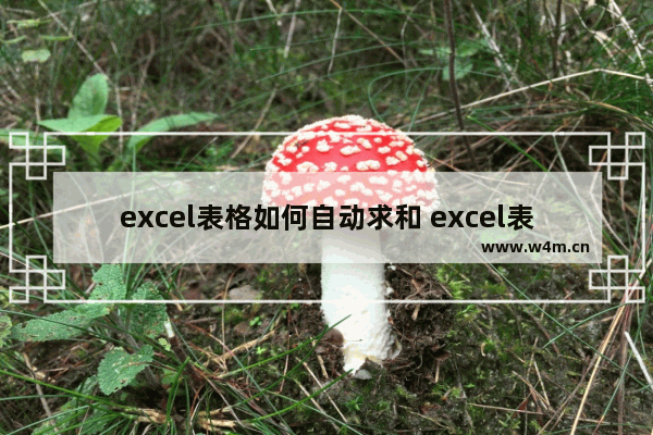 excel表格如何自动求和 excel表格自动求和的方法