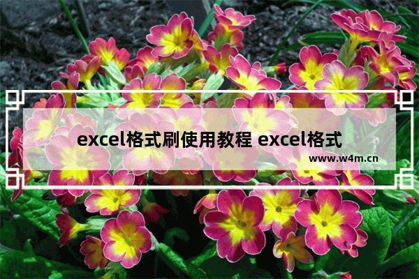 excel格式刷使用教程 excel格式刷怎样用