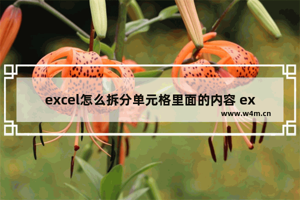 excel怎么拆分单元格里面的内容 excel快速拆分单元格内容方法