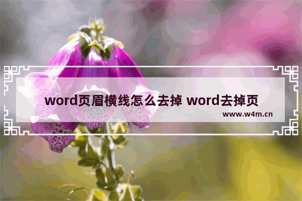 word页眉横线怎么去掉 word去掉页眉横线的方法